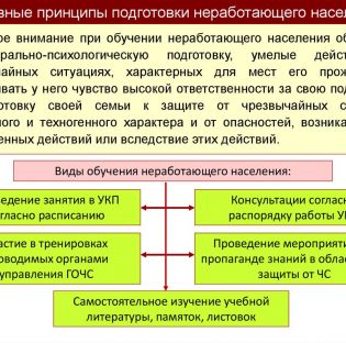 Подготовка неработающего населения в области гражданской обороны и защиты от чрезвычайных ситуаций природного и техногенного характера