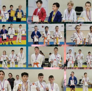 В ДС «Юбилейный» МАУ «Спортклуб «Кашира» имени Н.П. Елисеева» прошел VII открытый Новогодний фестиваль борьбы по дзюдо и сумо среди юношей и девушек