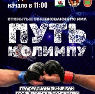 "ОТКРЫТЫЕ СОРЕВНОВАНИЯ ПО СМЕШАННЫМ БОЕВЫМ ИСКУССТВАМ ММА "ПУТЬ К ОЛИМПУ"