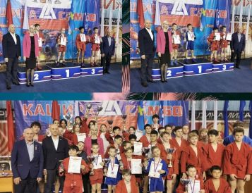 В ДС «Юбилейный» прошёл XXV открытый турнир по борьбе самбо, посвящённый памяти Навалихина В.С.