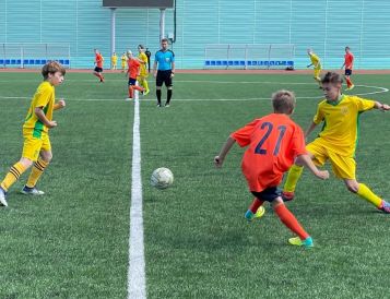 Очередные домашние игры Первенства Московской области по футболу среди детских команд