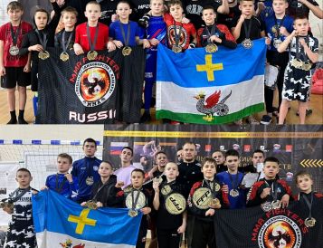 Прошел большой турнир по ММА в г. Лыткарино