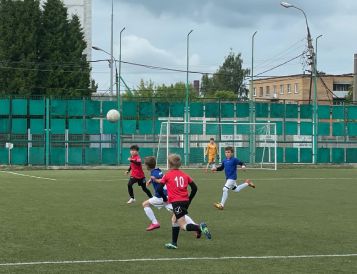 Домашние игры Первенства Московской области по футболу