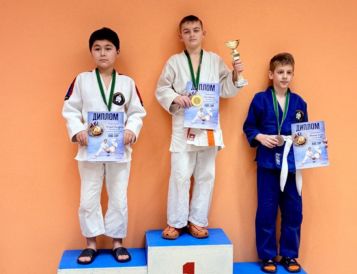 В г. Москва прошёл турнир по дзюдо" Kids CUP Judo"